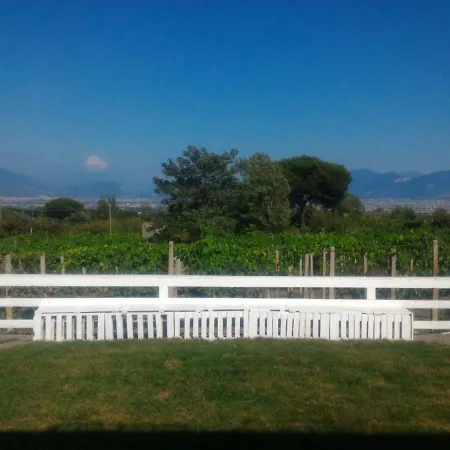 Tenuta Sul Vesuvio 