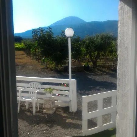 Tenuta Sul Vesuvio 