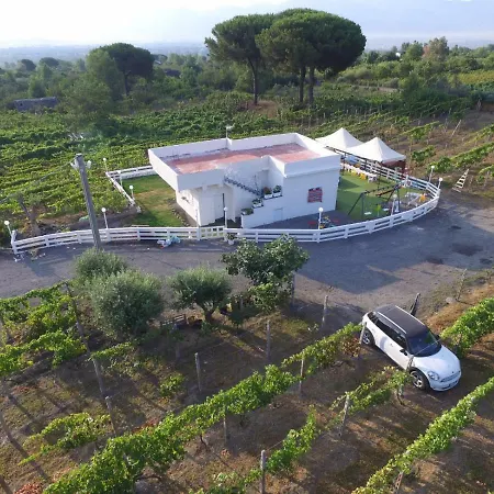 Holiday home Tenuta Sul Vesuvio 