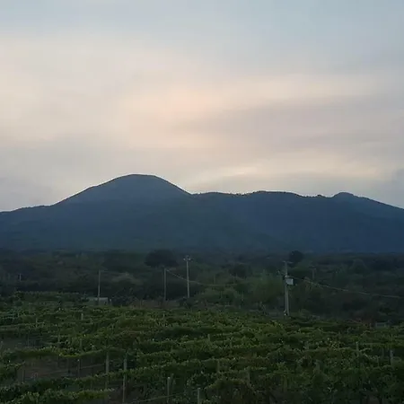 Holiday home Tenuta Sul Vesuvio 