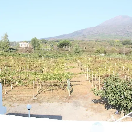 Tenuta Sul Vesuvio 