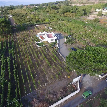Holiday home Tenuta Sul Vesuvio 