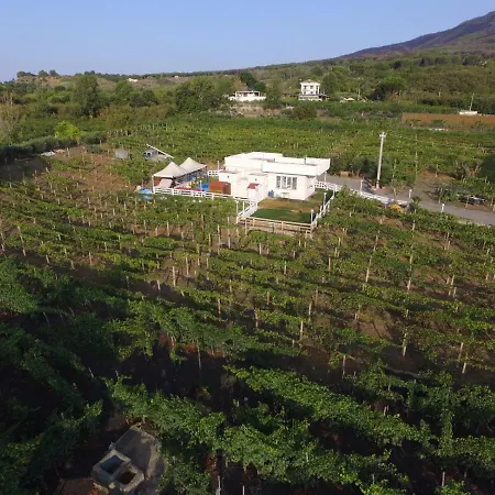 Tenuta Sul Vesuvio 